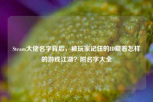 Steam大佬名字背后，被玩家记住的ID藏着怎样的游戏江湖？附名字大全