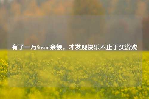 有了一万Steam余额，才发现快乐不止于买游戏
