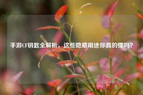 手游CF钥匙全解析，这些隐藏用途你真的懂吗？