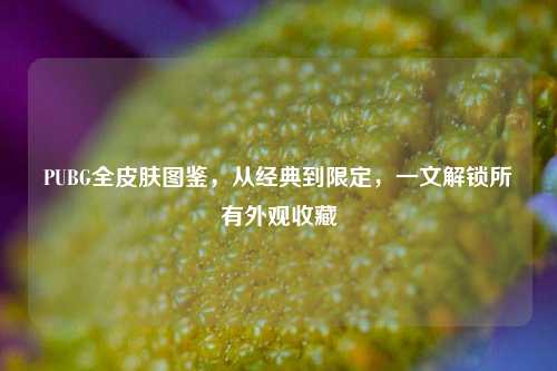 PUBG全皮肤图鉴，从经典到限定，一文解锁所有外观收藏