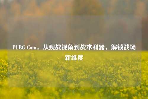 PUBG Cam，从观战视角到战术利器，解锁战场新维度