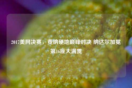 2017美网决赛，费纳硬地巅峰对决 纳达尔加冕第16座大满贯