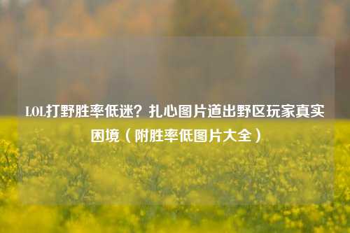 LOL打野胜率低迷？扎心图片道出野区玩家真实困境（附胜率低图片大全）