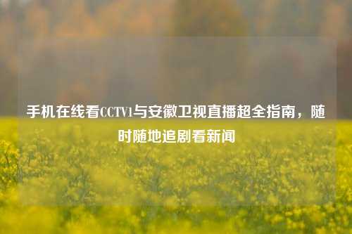 手机在线看CCTV1与安徽卫视直播超全指南，随时随地追剧看新闻