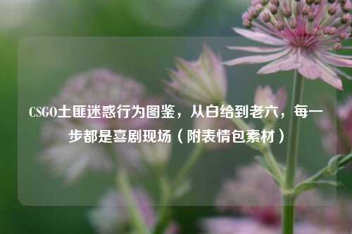 CSGO土匪迷惑行为图鉴，从白给到老六，每一步都是喜剧现场（附表情包素材）