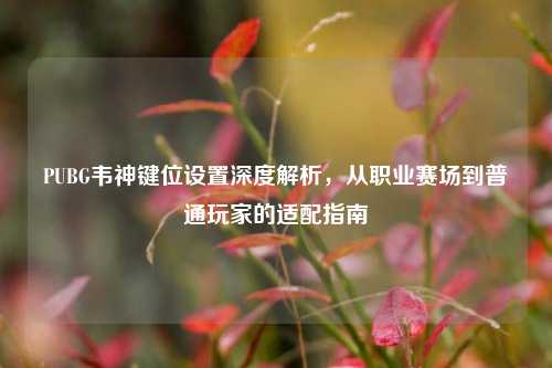 PUBG韦神键位设置深度解析，从职业赛场到普通玩家的适配指南