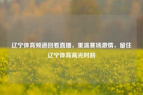辽宁体育频道回看直播，重温赛场激情，留住辽宁体育高光时刻