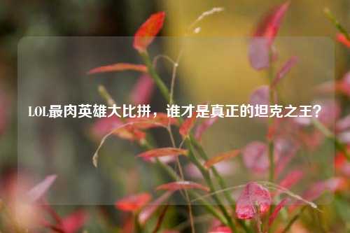 LOL最肉英雄大比拼，谁才是真正的坦克之王？