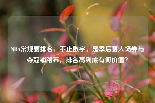 NBA常规赛排名，不止数字，是季后赛入场券与夺冠铺路石，排名高到底有何价值？
