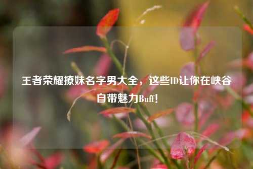 王者荣耀撩妹名字男大全，这些ID让你在峡谷自带魅力Buff！
