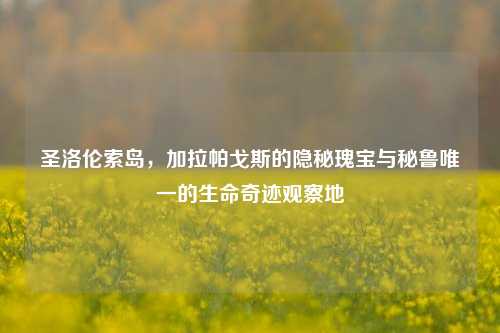 圣洛伦索岛，加拉帕戈斯的隐秘瑰宝与秘鲁唯一的生命奇迹观察地