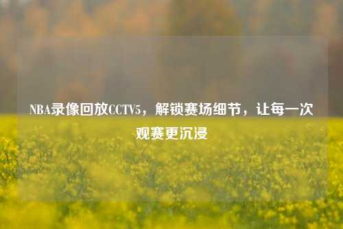 NBA录像回放CCTV5，解锁赛场细节，让每一次观赛更沉浸