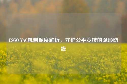 CSGO VAC机制深度解析，守护公平竞技的隐形防线