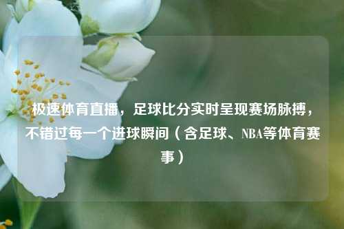 极速体育直播，足球比分实时呈现赛场脉搏，不错过每一个进球瞬间（含足球、NBA等体育赛事）