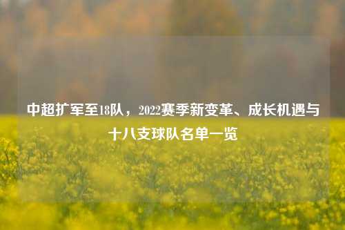 中超扩军至18队，2022赛季新变革、成长机遇与十八支球队名单一览