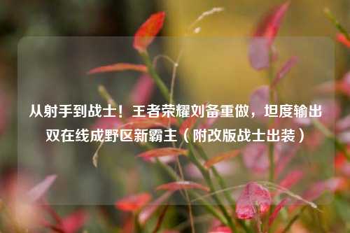从射手到战士！王者荣耀刘备重做，坦度输出双在线成野区新霸主（附改版战士出装）