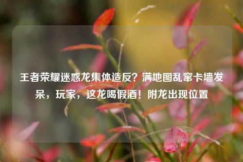 王者荣耀迷惑龙集体造反?满地图乱窜卡墙发呆,玩家,这龙喝假酒!附龙出现位置