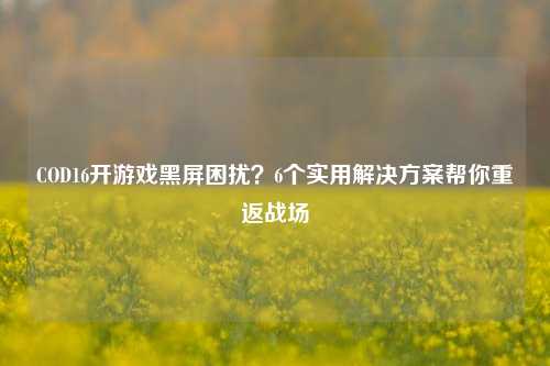COD16开游戏黑屏困扰？6个实用解决方案帮你重返战场