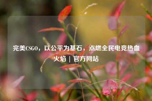完美CSGO，以公平为基石，点燃全民电竞热血火焰 | 官方网站
