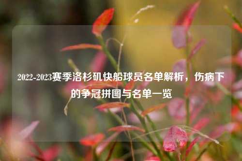2022-2023赛季洛杉矶快船球员名单解析，伤病下的争冠拼图与名单一览