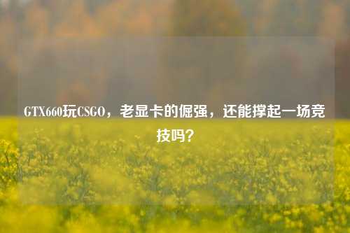 GTX660玩CSGO，老显卡的倔强，还能撑起一场竞技吗？