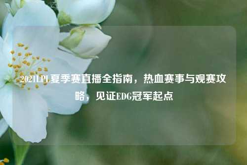 2021LPL夏季赛直播全指南，热血赛事与观赛攻略，见证EDG冠军起点