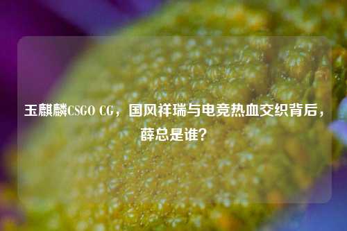 玉麒麟CSGO CG，国风祥瑞与电竞热血交织背后，薛总是谁？