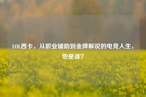 LOL西卡，从职业辅助到金牌解说的电竞人生，他是谁？
