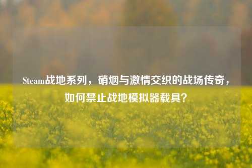 Steam战地系列，硝烟与激情交织的战场传奇，如何禁止战地模拟器载具？