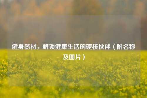 健身器材,解锁健康生活的硬核伙伴(附名称及图片)