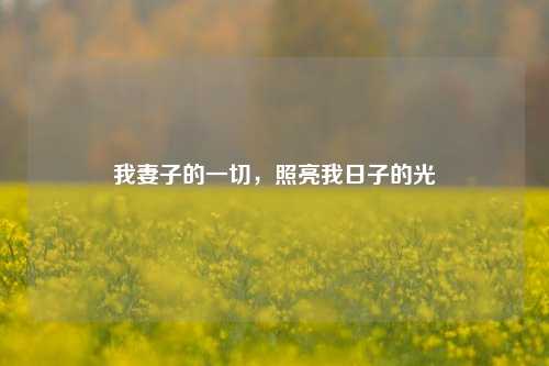 我妻子的一切，照亮我日子的光