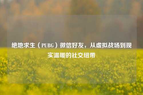 绝地求生(PUBG)微信好友,从虚拟战场到现实温暖的社交纽带