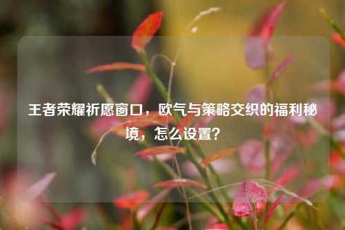 王者荣耀祈愿窗口，欧气与策略交织的福利秘境，怎么设置？