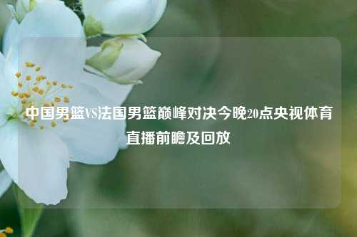 中国男篮VS法国男篮巅峰对决今晚20点央视体育直播前瞻及回放