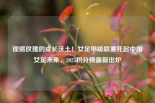 铿锵玫瑰的成长沃土!女足甲级联赛托起中国女足未来,2025积分榜最新出炉