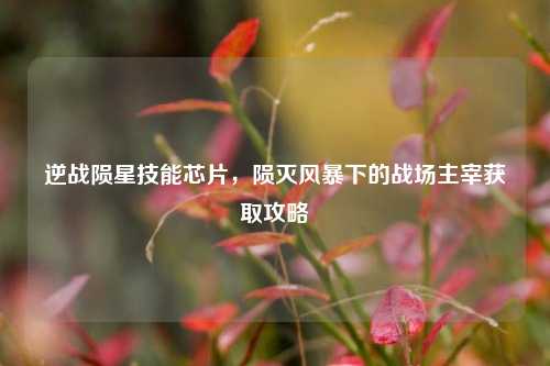 逆战陨星技能芯片，陨灭风暴下的战场主宰获取攻略