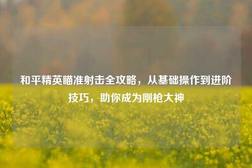 和平精英瞄准射击全攻略,从基础操作到进阶技巧,助你成为刚枪大神