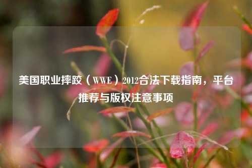 美国职业摔跤（WWE）2012合法下载指南，平台推荐与版权注意事项