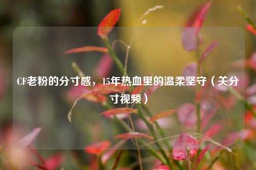 CF老粉的分寸感，15年热血里的温柔坚守（关分寸视频）