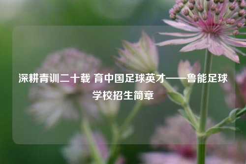 深耕青训二十载 育中国足球英才——鲁能足球学校招生简章