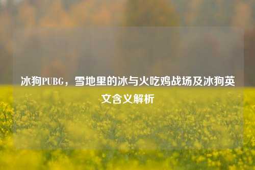 冰狗PUBG，雪地里的冰与火吃鸡战场及冰狗英文含义解析