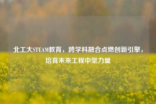 北工大STEAM教育，跨学科融合点燃创新引擎，培育未来工程中坚力量