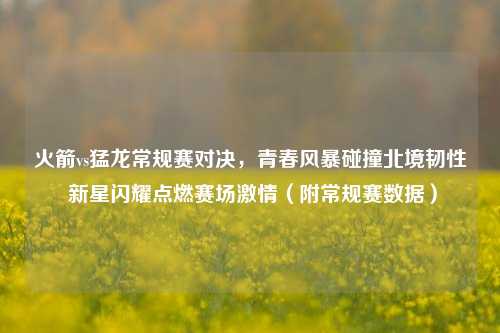 火箭vs猛龙常规赛对决，青春风暴碰撞北境韧性 新星闪耀点燃赛场激情（附常规赛数据）