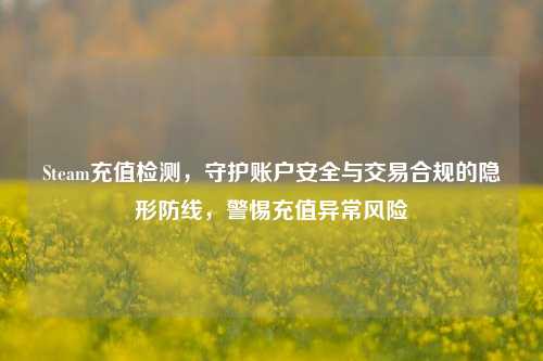 Steam充值检测，守护账户安全与交易合规的隐形防线，警惕充值异常风险