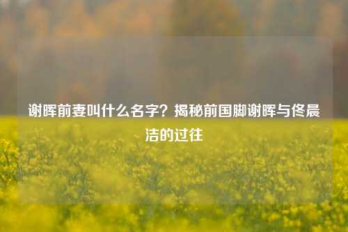 谢晖前妻叫什么名字？揭秘前国脚谢晖与佟晨洁的过往