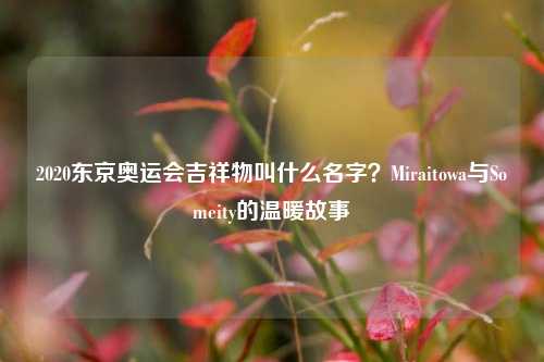 2020东京奥运会吉祥物叫什么名字？Miraitowa与Someity的温暖故事