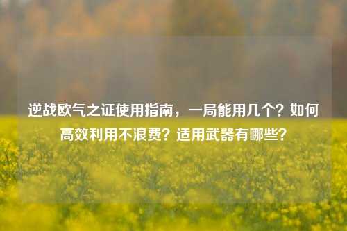 逆战欧气之证使用指南，一局能用几个？如何高效利用不浪费？适用武器有哪些？