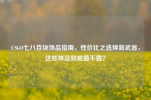 CSGO七八百块饰品指南，性价比之选焕新武器，这些饰品到底值不值？