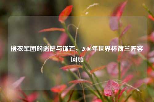 橙衣军团的遗憾与锋芒，2006年世界杯荷兰阵容回顾