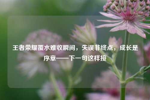 王者荣耀覆水难收瞬间，失误非终点，成长是序章——下一句这样接